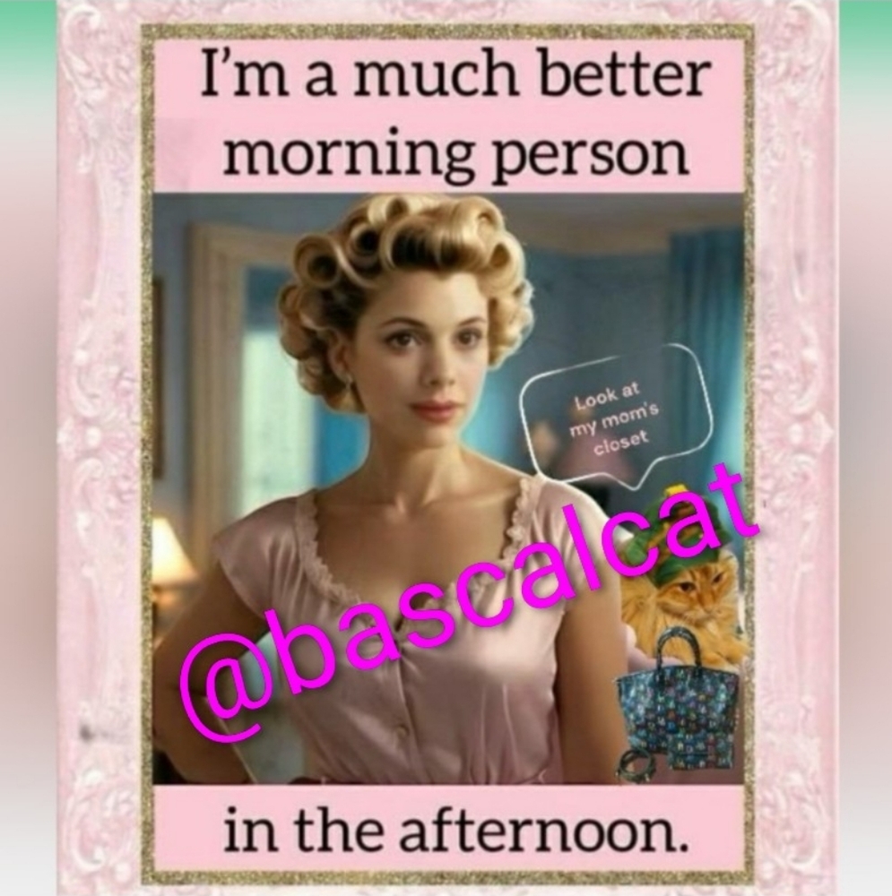 Morning Coffee With @bascalcat - Picture 4 of 16